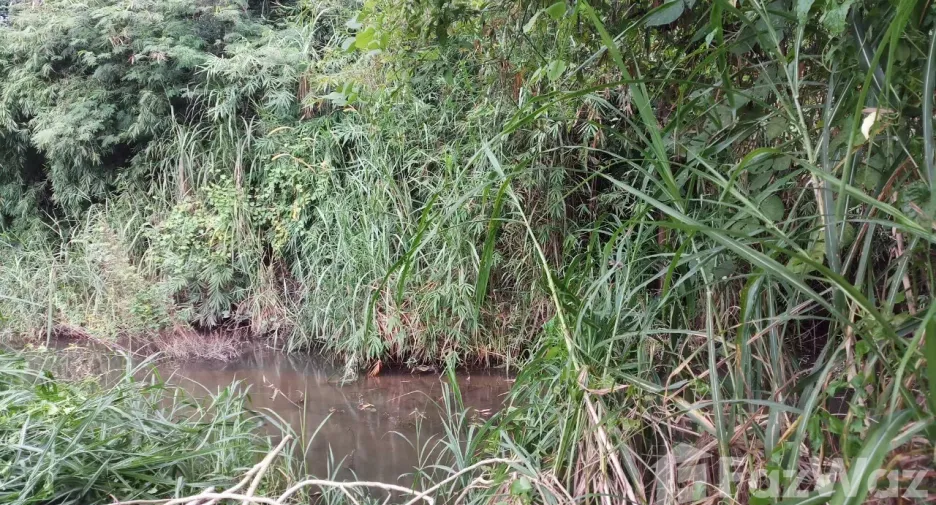 出售 土地 在 Mae Tha, Lamphun