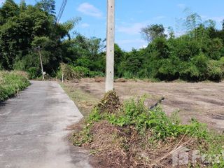 For sale land in Mae Tha, Lamphun