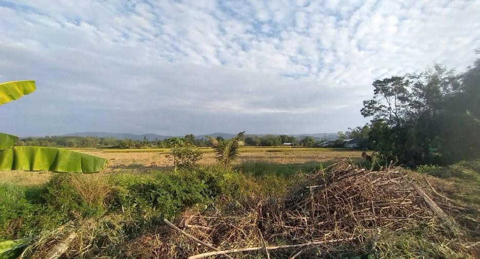 Grundstück zum Kauf in Mae Lao, Chiang Rai