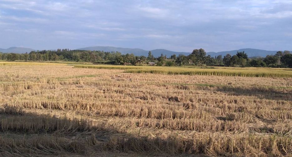 Grundstück zum Kauf in Mae Lao, Chiang Rai
