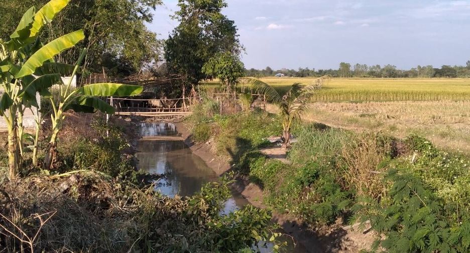 Grundstück zum Kauf in Mae Lao, Chiang Rai