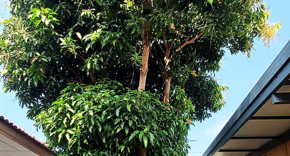 Villa zum Kauf mit 2 Zimmer in Mueang Rayong, Rayong