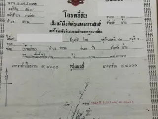 For sale land in Pua, Nan