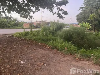 For sale land in Pua, Nan