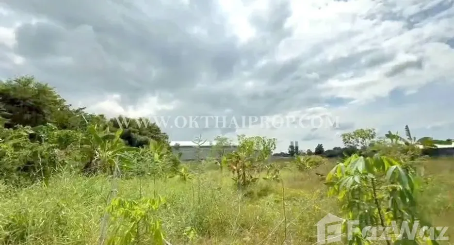 For sale land in Wang Thong, Phitsanulok
