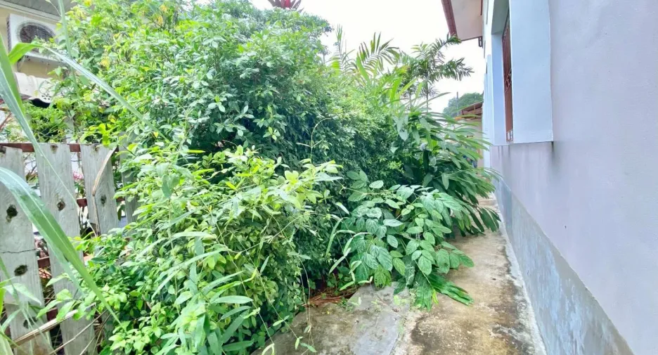 出售 3 卧室 独立屋 在 Phuket Town, 普吉