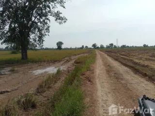 For sale land in Nong Muang, Lopburi