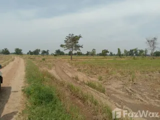 For sale land in Nong Muang, Lopburi