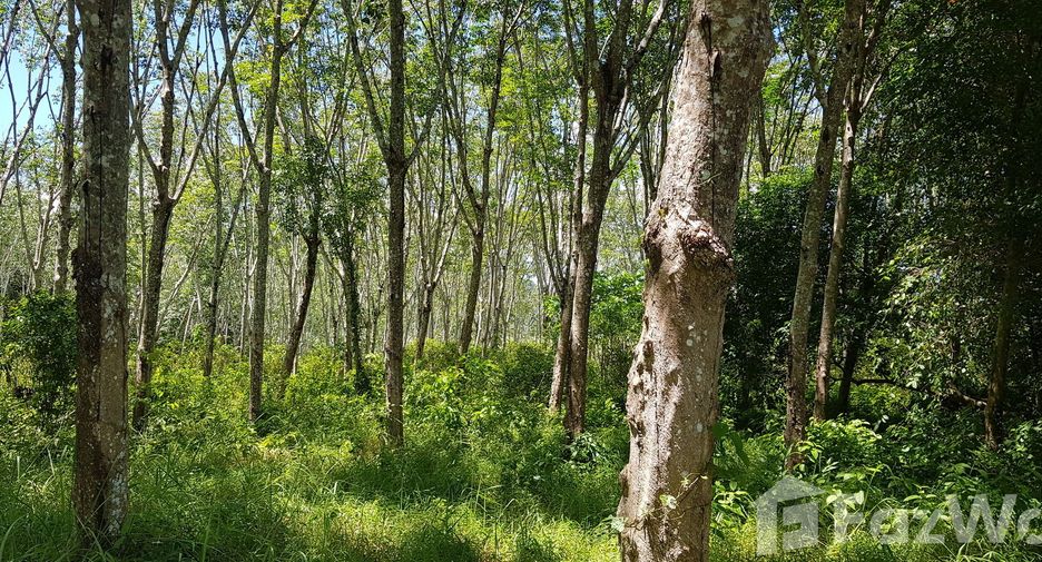 For sale land in Thalang, Phuket