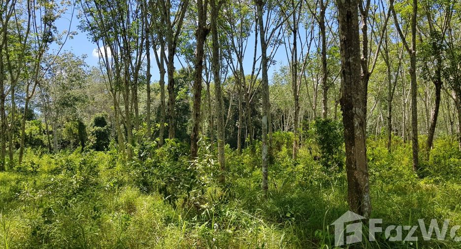 For sale land in Thalang, Phuket