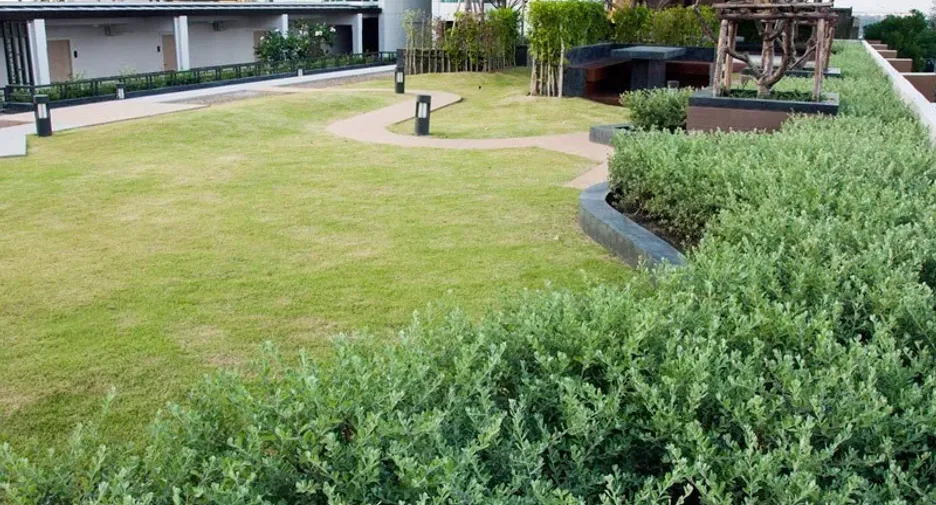 For sale 1 bed condo in Pak Kret, Nonthaburi