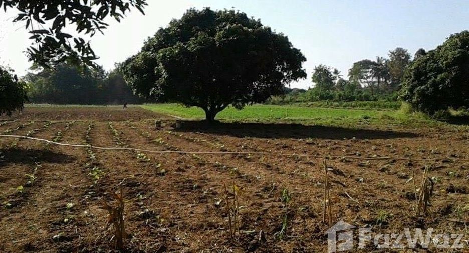 For sale land in Mueang Nong Khai, Nong Khai