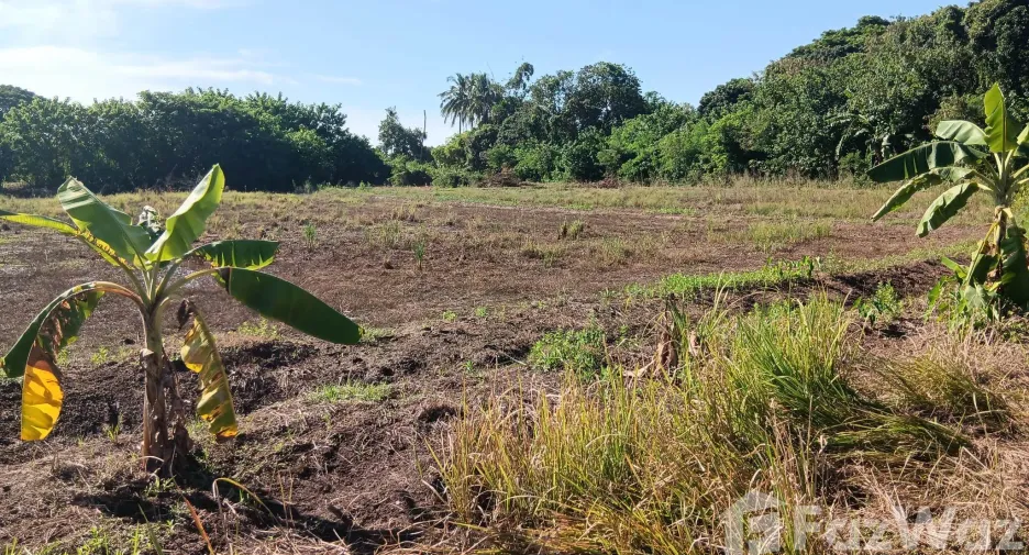 For sale land in Mueang Nong Khai, Nong Khai