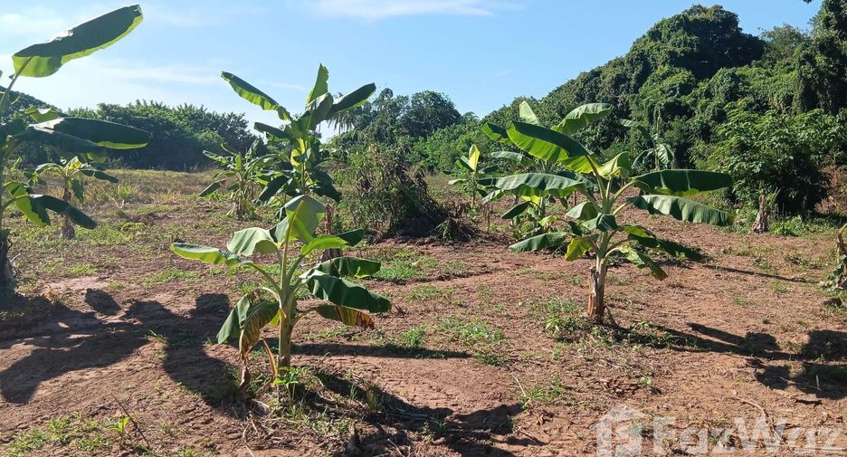 For sale land in Mueang Nong Khai, Nong Khai