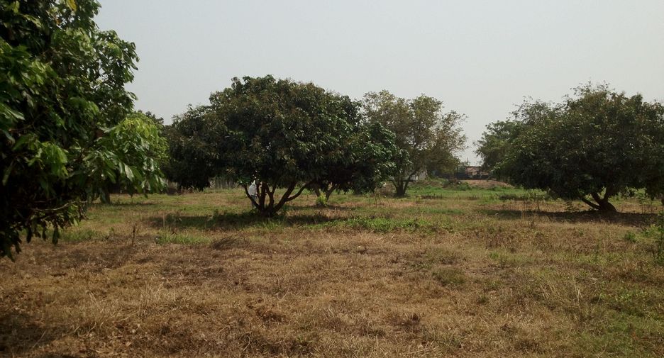 For sale land in Mueang Nong Khai, Nong Khai