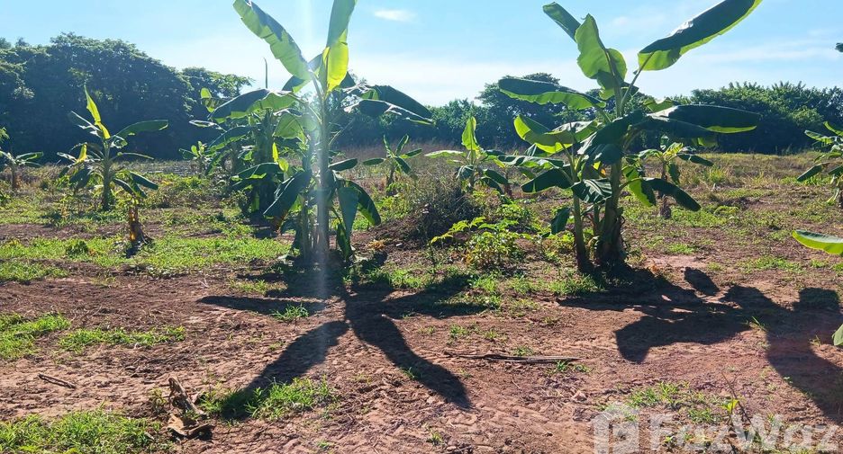 For sale land in Mueang Nong Khai, Nong Khai