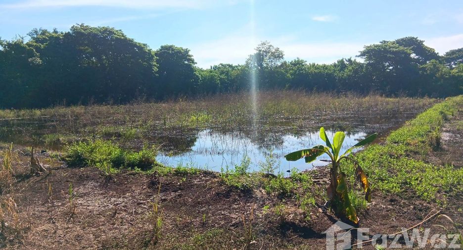For sale land in Mueang Nong Khai, Nong Khai
