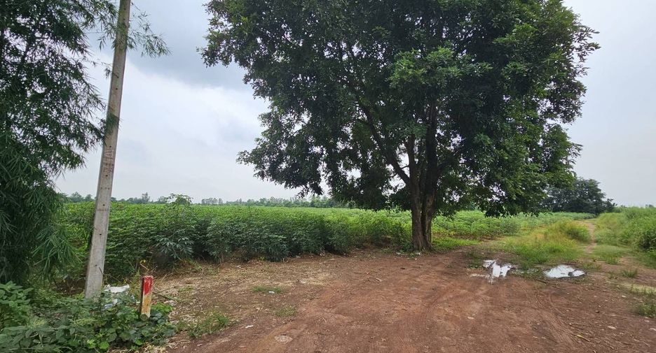 For sale land in Si Maha Phot, Prachin Buri