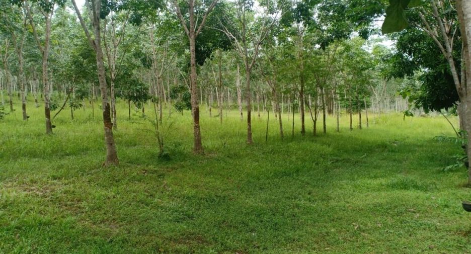 For sale land in Na Wa, Nakhon Phanom