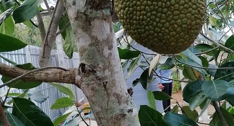 Casa en venta de 4 habitaciones en Nong Ya Plong, Phetchaburi