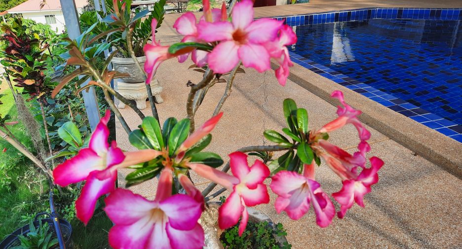 Casa en venta de 4 habitaciones en Nong Ya Plong, Phetchaburi