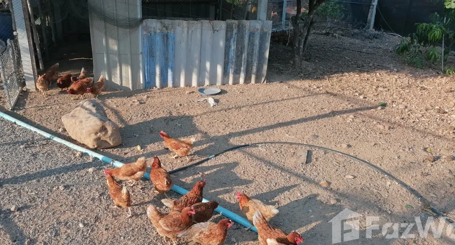 Casa en venta de 4 habitaciones en Nong Ya Plong, Phetchaburi
