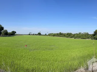 出售 土地 在 Mueang Suphan Buri, Suphan Buri