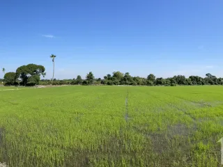 出售 土地 在 Mueang Suphan Buri, Suphan Buri