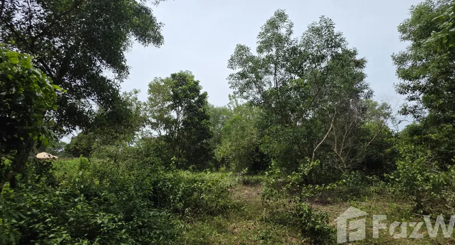 ขาย ที่ดิน ใน ถลาง, ภูเก็ต