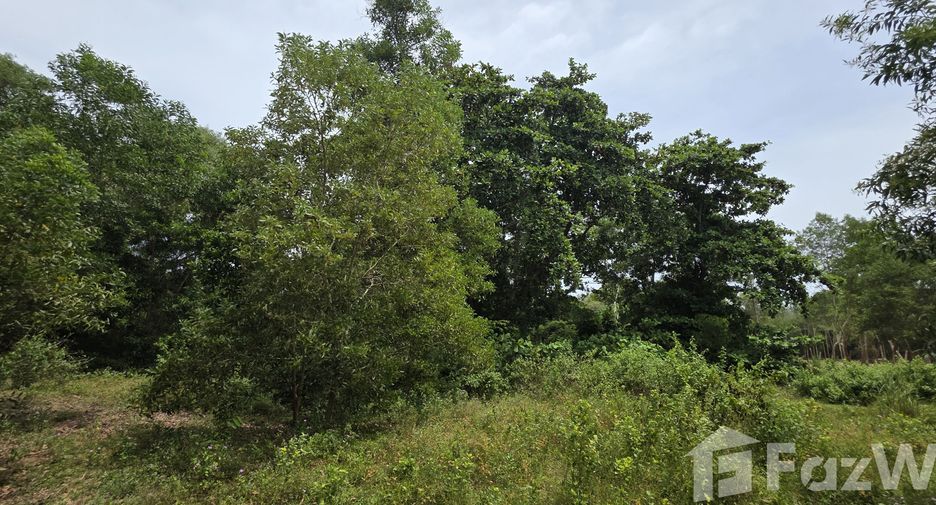 ขาย ที่ดิน ใน ถลาง, ภูเก็ต