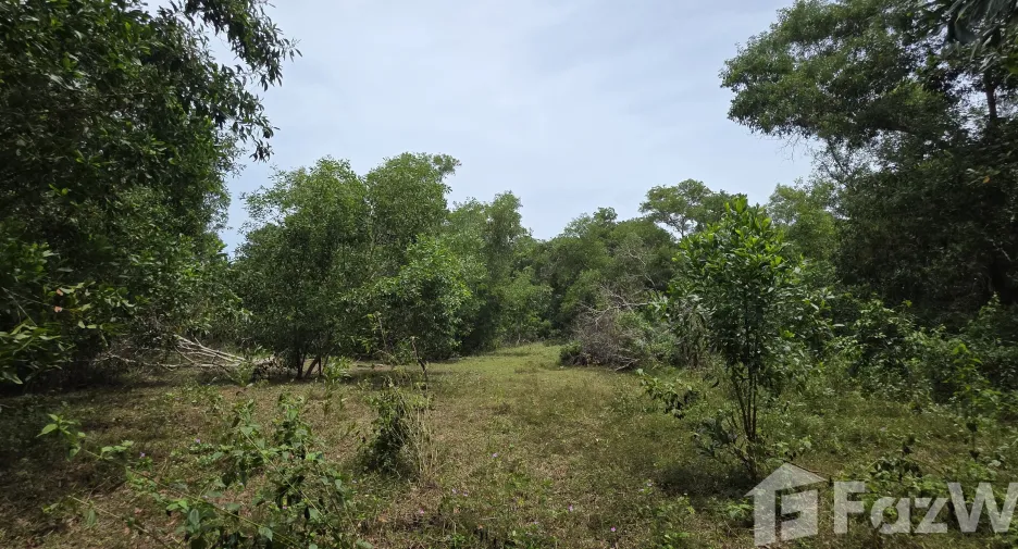 ขาย ที่ดิน ใน ถลาง, ภูเก็ต