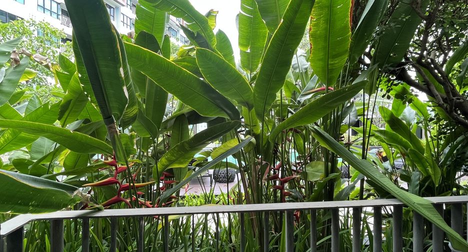 For rent 2 bedrooms condo in Mueang Phuket, Phuket