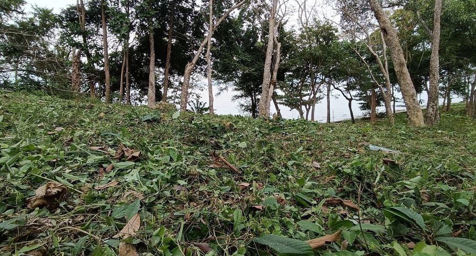 For sale land in Thalang, Phuket