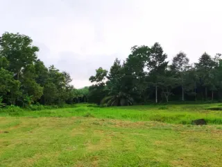 出售 和 出租 3 卧室 独立屋 在 Mueang Rayong, Rayong