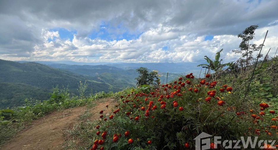 For sale 4 bedrooms villa in Na Noi, Nan