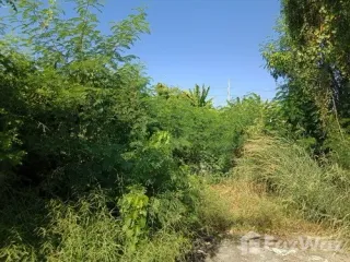 Grundstück zum Kauf in Lat Krabang, Bangkok