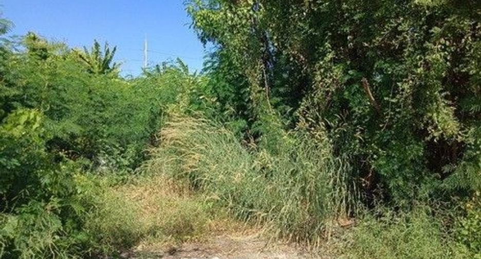 For sale land in Lat Krabang, Bangkok