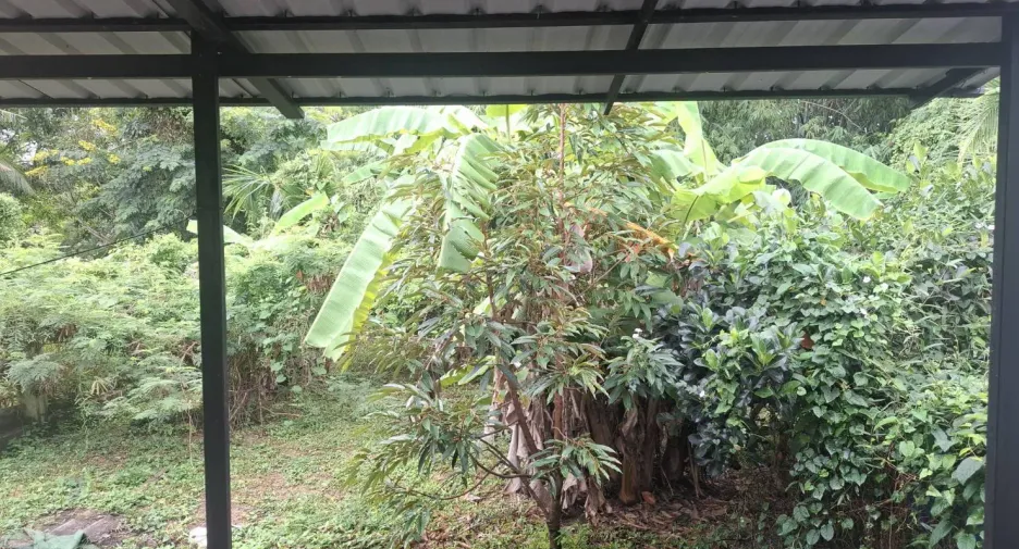 ขาย 2 ห้องนอน บ้านเดี่ยว ใน เมืองขอนแก่น, ขอนแก่น