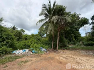 Продажа Участок в Mueang Surat Thani, Сураттани