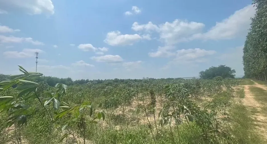 For sale land in Bo Thong, Chonburi