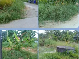 For sale land in Mueang Phuket, Phuket