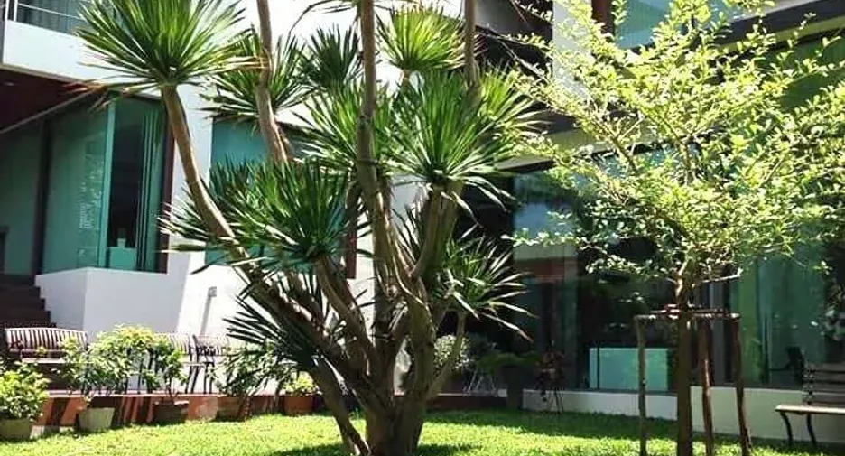 出售 4 卧室 独立屋 在 Bang Phli, Samut Prakan