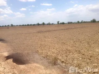 ขาย ที่ดิน ใน เมืองสุโขทัย, สุโขทัย