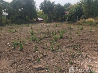 Продажа Участок в Mueang Loei, Loei