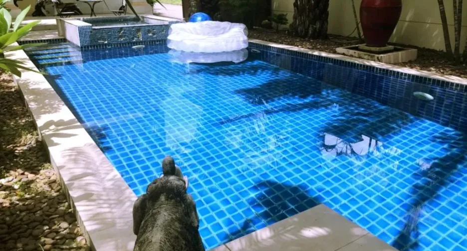 For sale and for rent 4 bedrooms villa in Bang Lamung, Chonburi