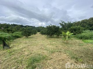 For sale land in Thong Pha Phum, Kanchanaburi