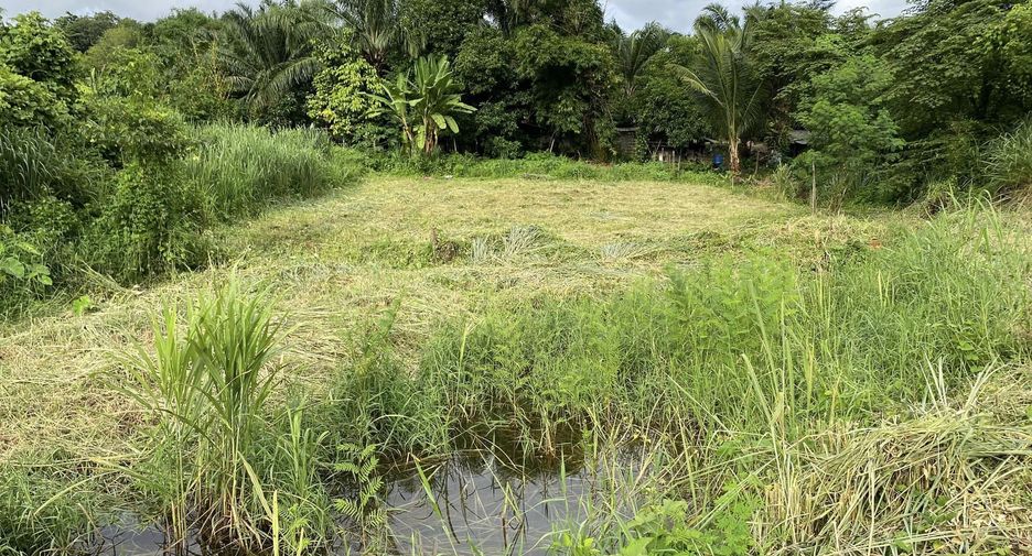 Продажа Участок в Thong Pha Phum, Канчанабури