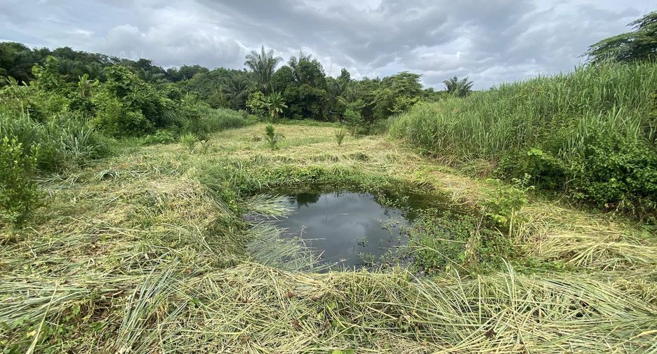 Продажа Участок в Thong Pha Phum, Канчанабури
