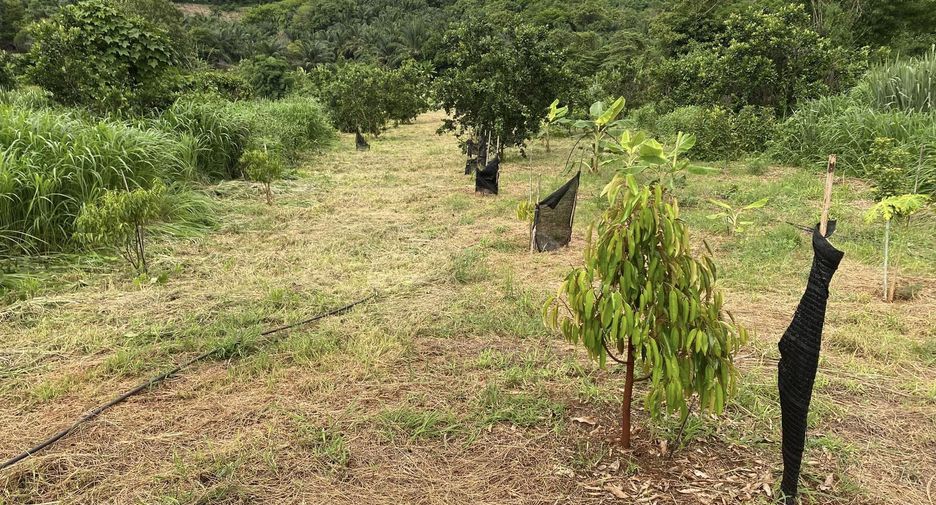 Продажа Участок в Thong Pha Phum, Канчанабури