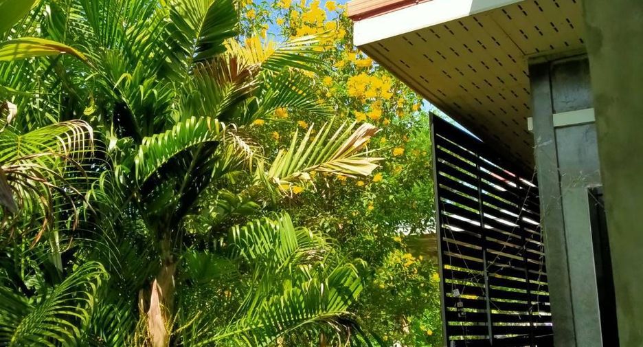 Haus zum Kauf mit 4 Zimmer in Dan Khun Thot, Nakhon Ratchasima